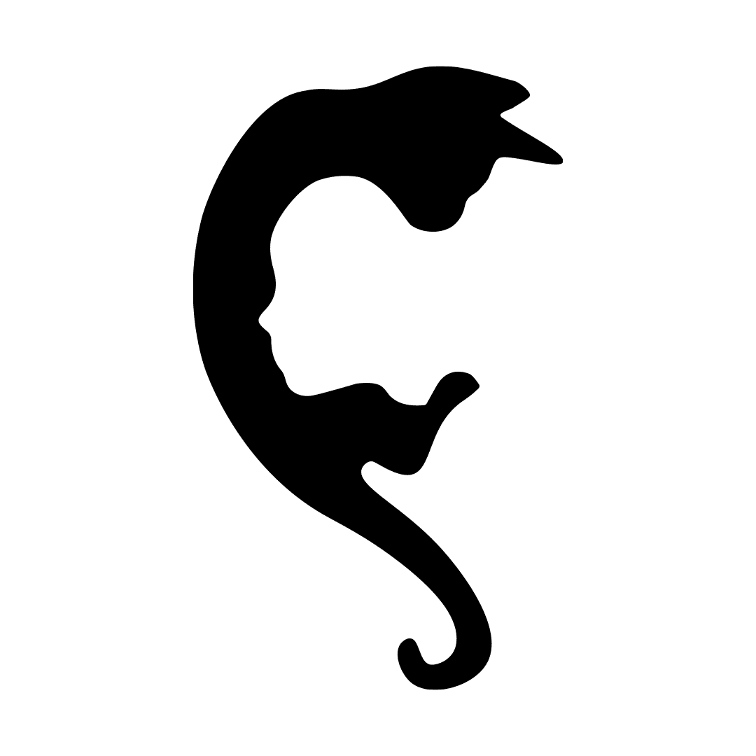 copertina rivista ansia